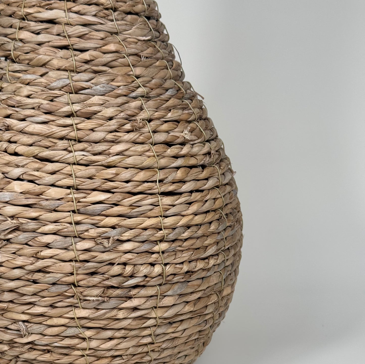 Vase Nature Sauvage